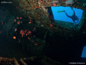 Inside the Kuda Giri. Canon G10. by Bea & Stef Primatesta 